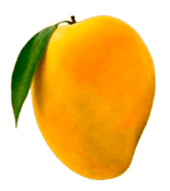 Alphonso