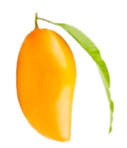 Banganapalli