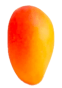 Chaunsa