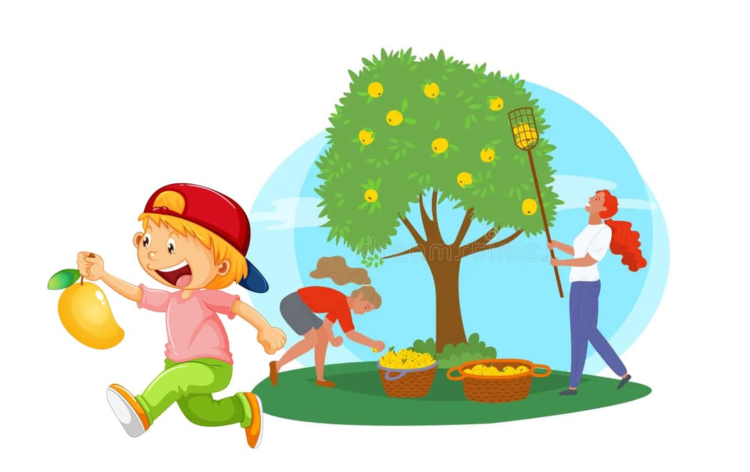 mango story Image