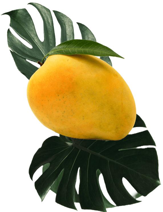 mango image